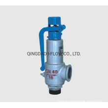 Wcb Spring Low Lift Safety Valve Type China Manufacturer